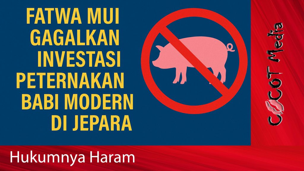 Fatwa MUI Gagalkan Investasi Peternakan Babi Modern di Jepara